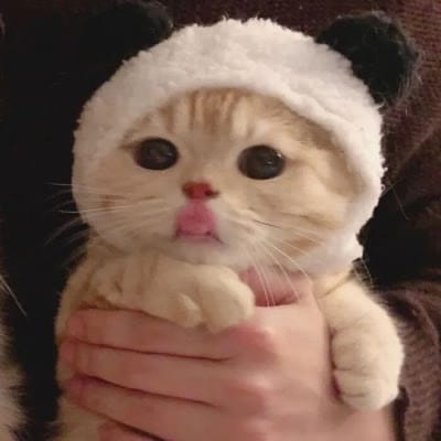 Trần Ngọc Diệp avatar